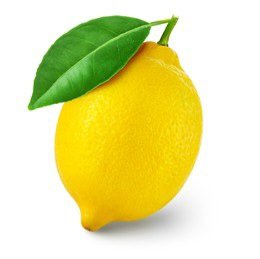 MudTew's tweet photo. When life gives you lemons, mummifiy them.

#NimbuForeva #MehengaayiDaayan #SayNoToLemonades #ThursdayThoughts https://t.co/lbip8gs3wz