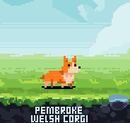 PixelDogs tweet media