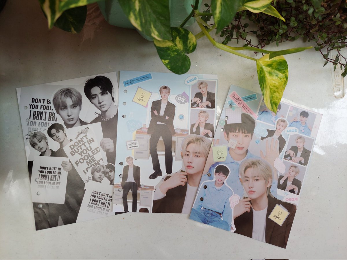 cart978's tweet photo. [TodaysMeil] 💌 @DOKYEOMINNIIEE #yanscomms 

Binder comms arrived today! Thank you so much @DOKYEOMINNIIEE 🫶🏻🫶🏻 super ganda 😭😭 Till our next transaction 🫰🏻 https://t.co/aZtlY5Ge2M