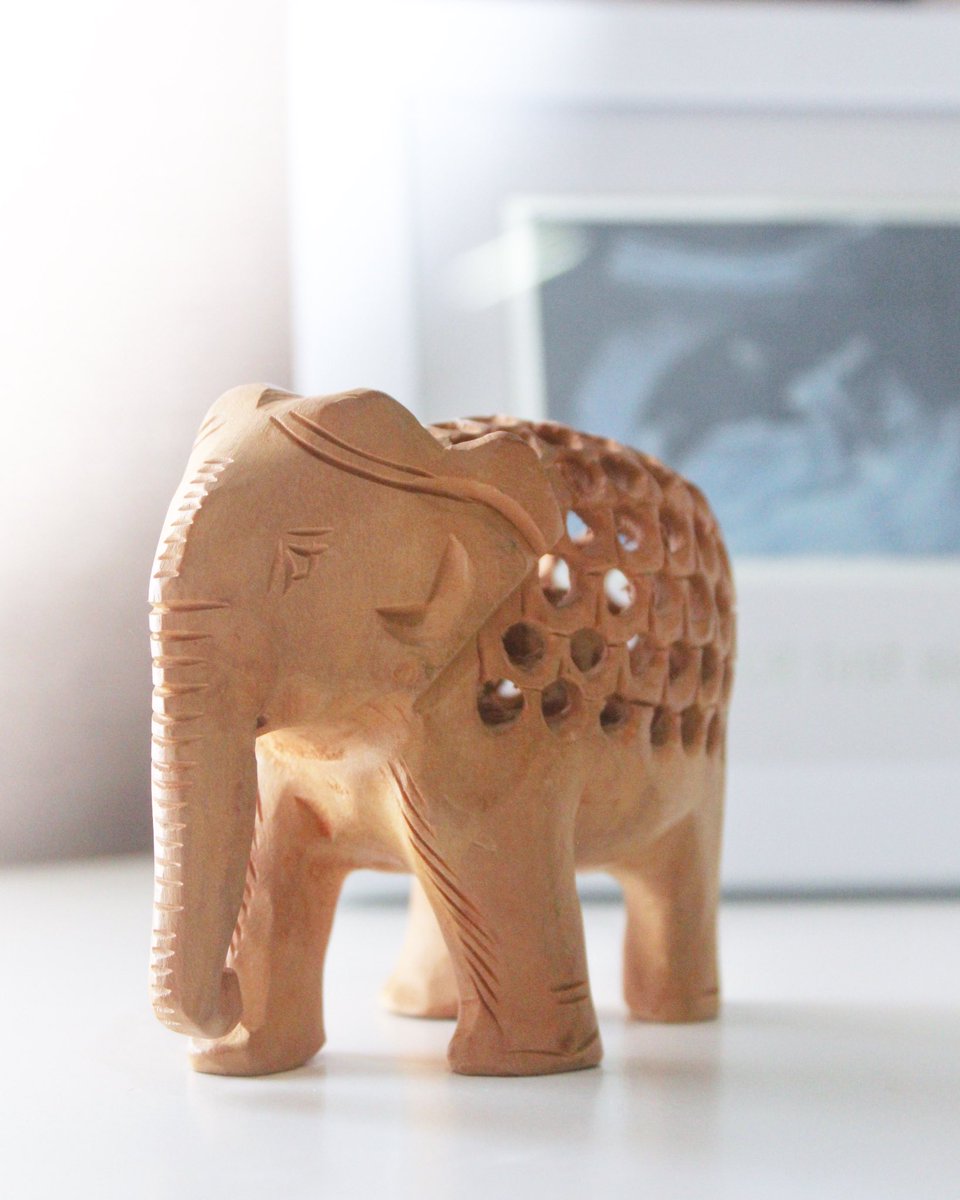 creativebeam's tweet photo. “When there’s an elephant in the room, it’s for good luck and protection. Especially in challenging times, they’re known to break through obstacles, and crush potential problems headed our way.” 📸🐘 

#photographer #photooftheday #photo #photography #elephant #indianculture https://t.co/PXotE5Z2Zw