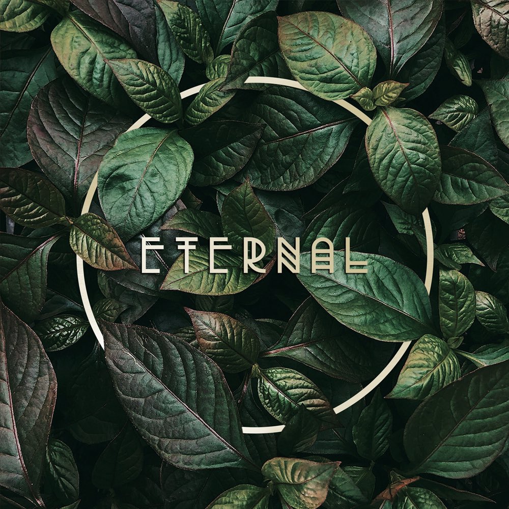 POD_KW's tweet photo. Eternal

Shop now on TeePlus
Link: https://t.co/OTjyMpcnPe https://t.co/I1nWtegTtX