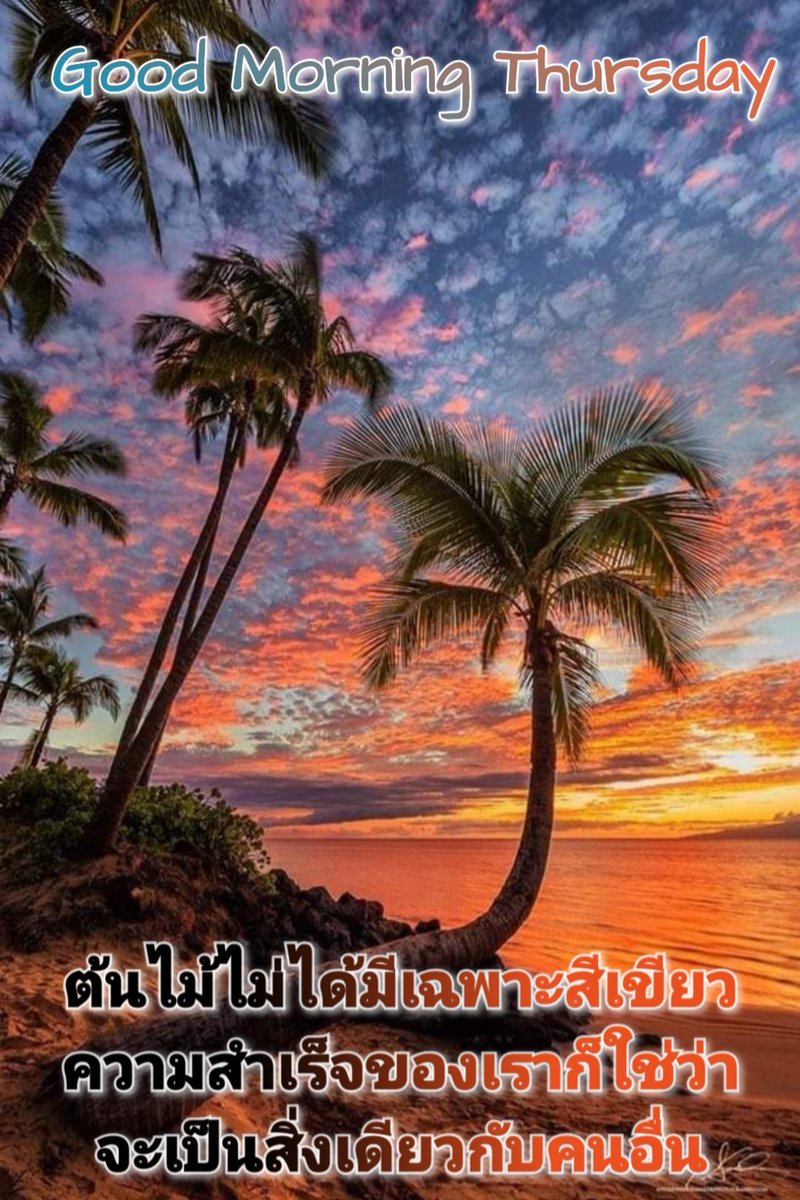 Nit Satun tweet media