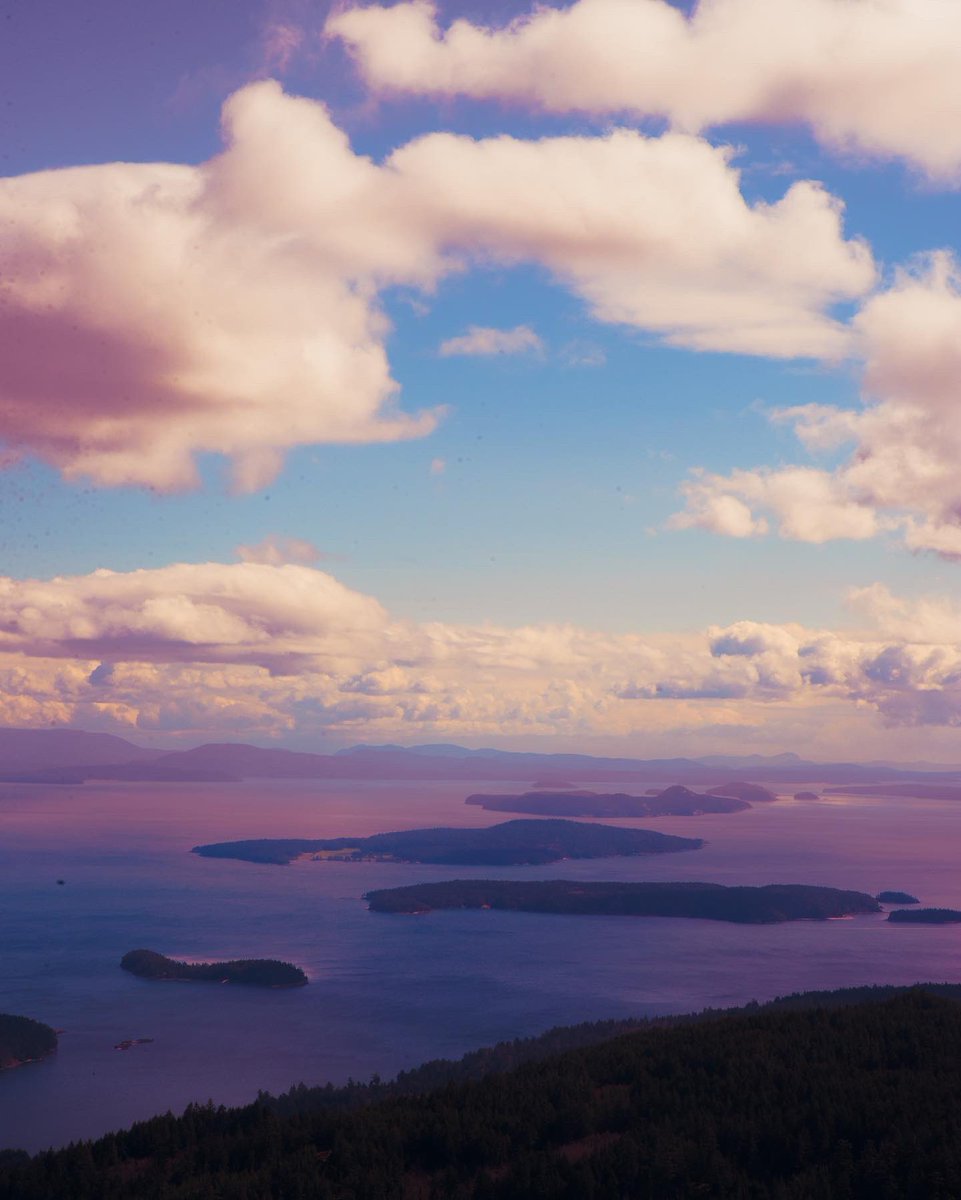 This one got the love on IG. Wanted to share with my real friends over here on Twitter. 💁🏻‍♀️