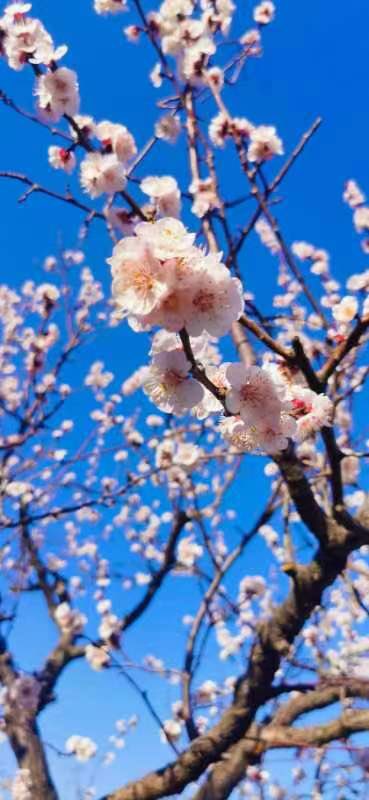 Charlie31110983's tweet photo. Summer is on the way.#Beijing #Xiamen https://t.co/I9VSfr4zDU