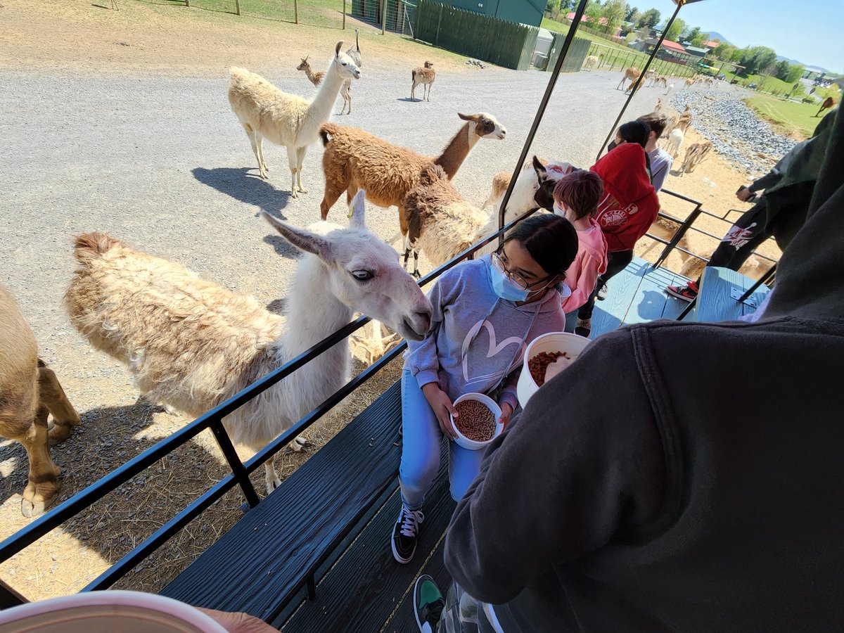 GrahamParkMS's tweet photo. Safari Park field trip for 7th grade Math and Science Specialty Program students!! #GPMATHSCI #GPYOUKNOW https://t.co/zJoubWu0QR