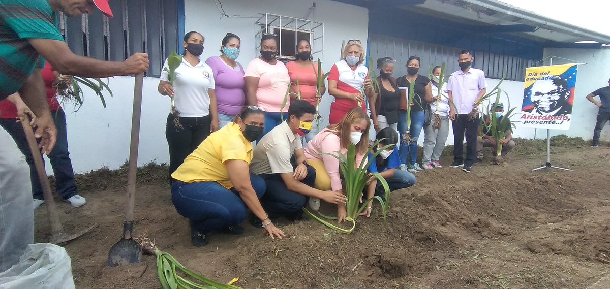 Zonaeducadelor1's tweet photo. #DeltaAmacuro | @FannyG45 Lirios para un ilustre venezolano que dio su vida para fortalecer nuestra Educación Aristóbulo Istúriz. Honor a quien honor merece @NicolasMaduro @_LaAvanzadora @MPPEDUCACION @delcyrodriguezv @PartidoPSUV #ProducirPorVenezuela https://t.co/0xf73BDVEW