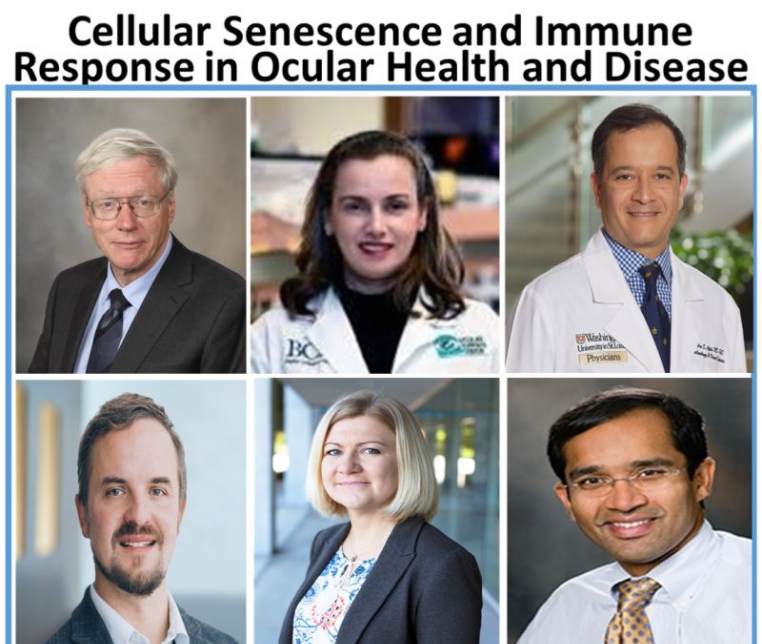 DrDorotaSK's tweet photo. We are looking forward to our symposium held this Sunday, May 1st, 8AM at #ARVO2022 in Denver! @ARVOinfo #senescence #aging #eye @psapieha @GMalekLab please tag others! See you soon! https://t.co/jVY3t3M0RG