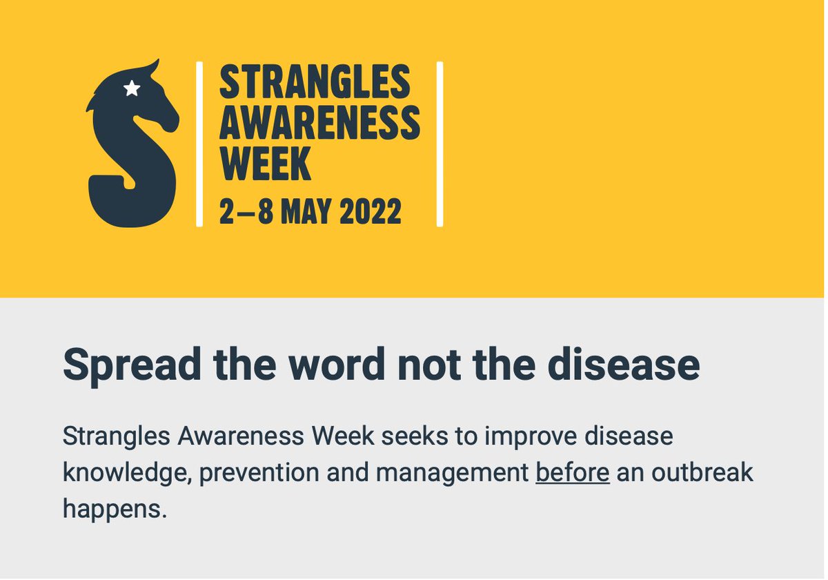 equinevetaus's tweet image. It takes confidence &amp;amp; know-how to take a horse's temperature for the 1st  time. Temp checking is at the heart of this year's Strangles Awareness Week Campaign.  Challenging owners to take resting temp each day &amp;amp; upload to the 'online temp checker'. #TempCheckChallenge #SAW2022