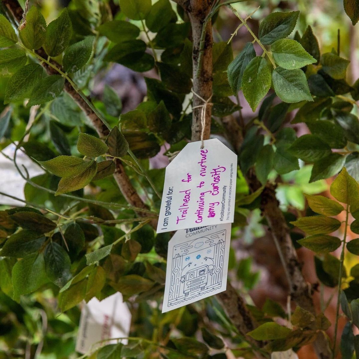 salesforce's tweet image. Now that was an epic Day 1 of #TDX22. Not only was it exciting to see each other IRL again but it was jammed packed with sessions, workshops, and a whole bunch of networking opportunities. 

Can’t wait for you to join us for even more tomorrow! 🌙