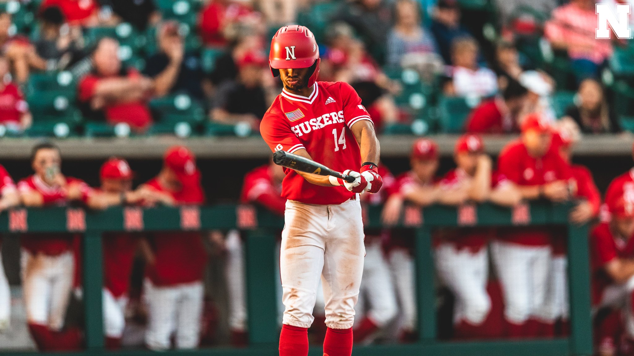 Nebraska Baseball on Twitter "like srsly https//t.co/3PvaLZmN7q