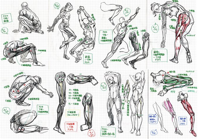 朝活でやってる、モルフォ人体デッサンの模写。P214~P221 