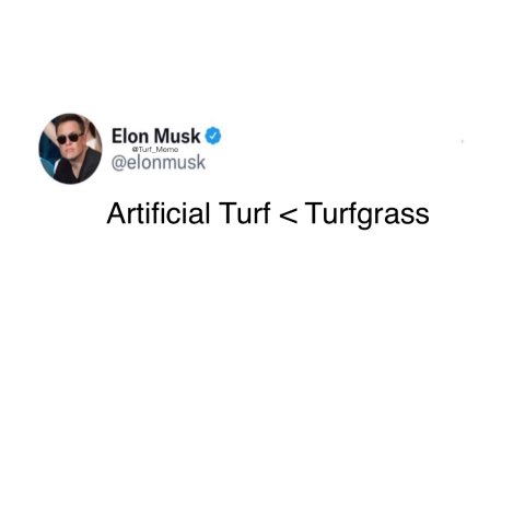 Turf Meme (@turf_meme) on Twitter photo 