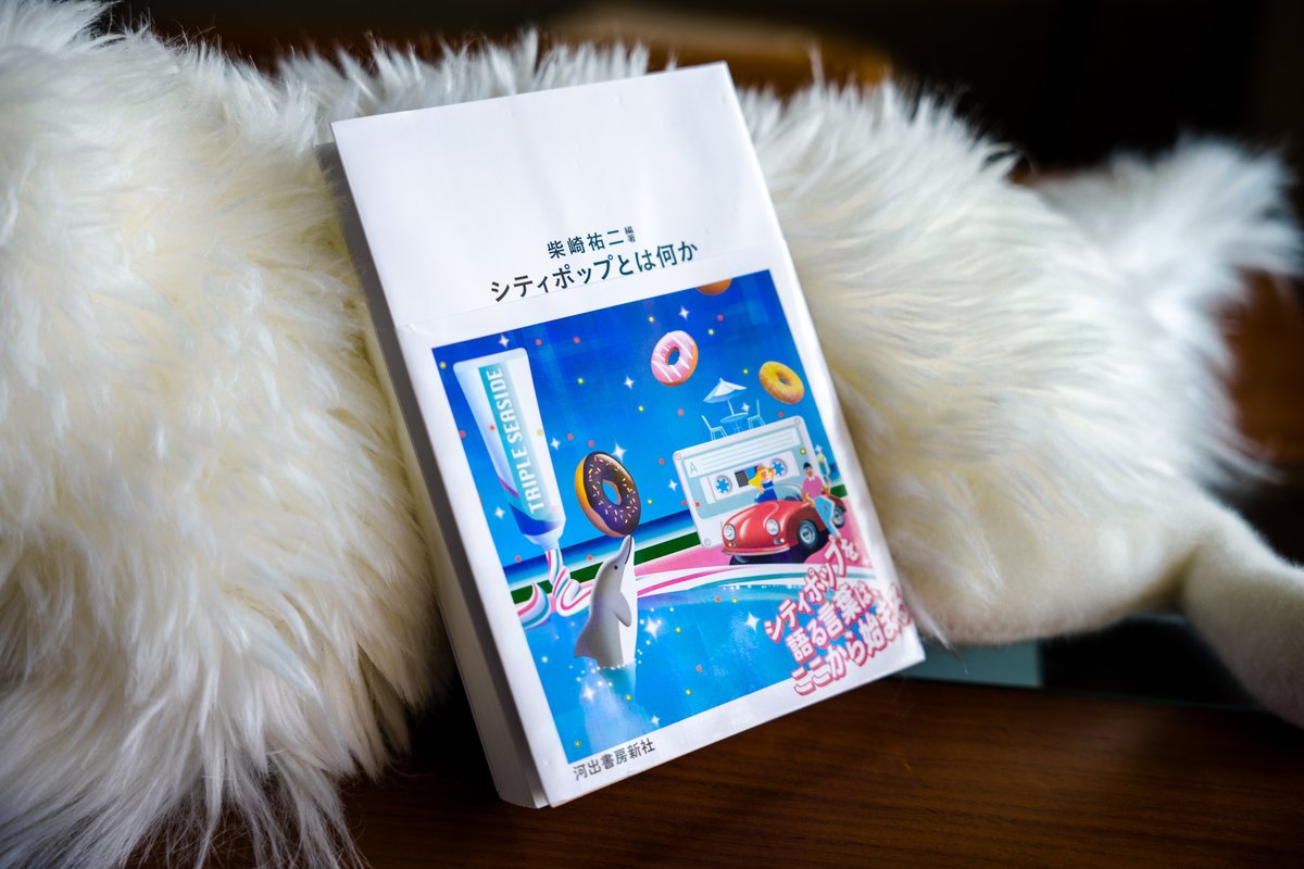 Tsudio_Studio's tweet photo. 「シティポップとは何か」がわかってしまう本。LVの流れで私の作品にも触れていただいてて嬉しかったです！ https://t.co/yA8kCVsz2b