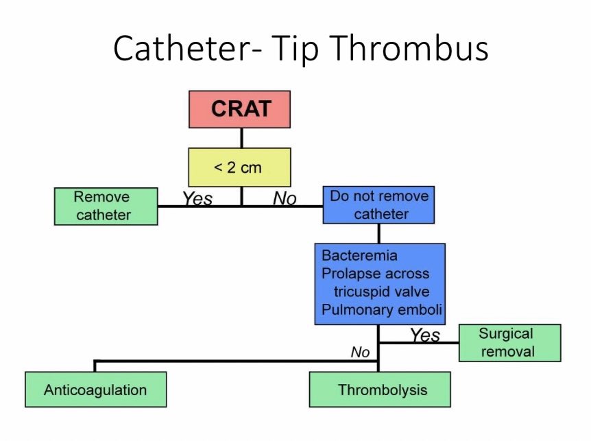edgarvlermamd's tweet photo. @InformNephro @dr_nikhilshah @askrenal @ASDINNews @NSMCInternship @ISNeducation @isn_india BEATHARD: Catheter-induced Right Atrial Thrombi (CRAT): Management (Opinion-based)
#ASDIN2020 #Nephpearls https://t.co/T0D9lUZ9jf