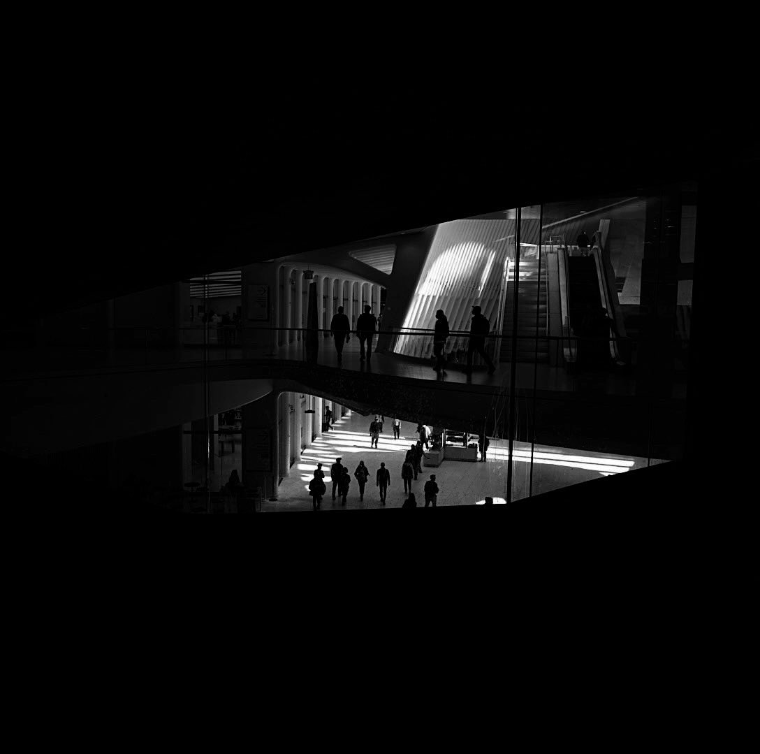 OWDbrand's tweet photo. Peer through the eye of the dragon ⚜️

Photography: @adamexha 📸

#oculusdesigns #owd https://t.co/B9IU0POojs