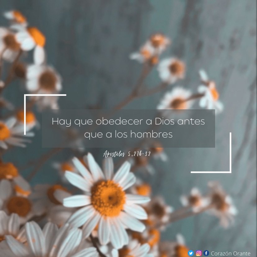 corazon_orante's tweet photo. ¿Tengo a Dios realmente como mi prioridad? 🥇 https://t.co/WMRqf1NBTw