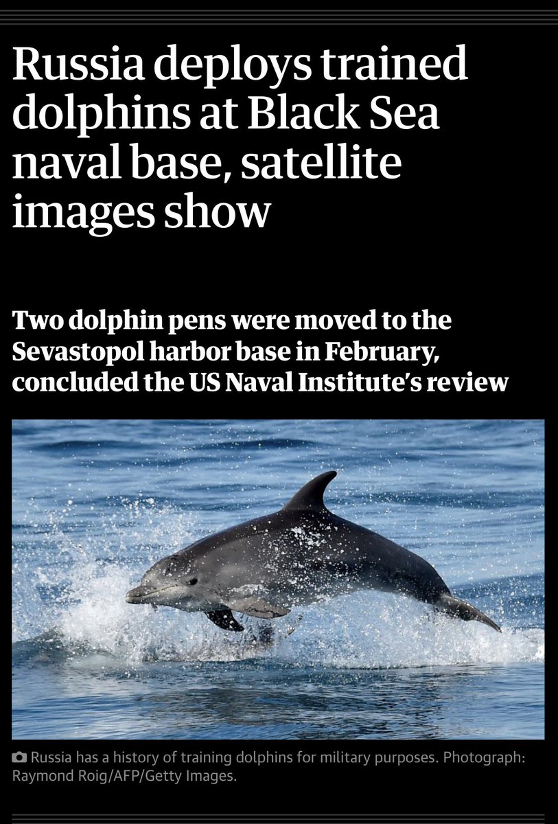 Ben Berkowitz tweet media