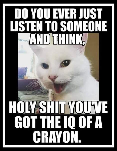 <a href="/laurenboebert/">Lauren Boebert</a> <a href="/elonmusk/">Elon Musk</a>