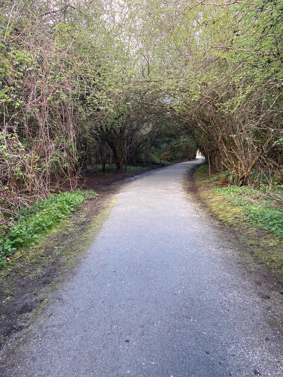 MissRedRules's tweet image. Flashing you on my walk today! The tunnel of trees was so beautiful! #walking #cleavageselfie #nature #flashingpublic
