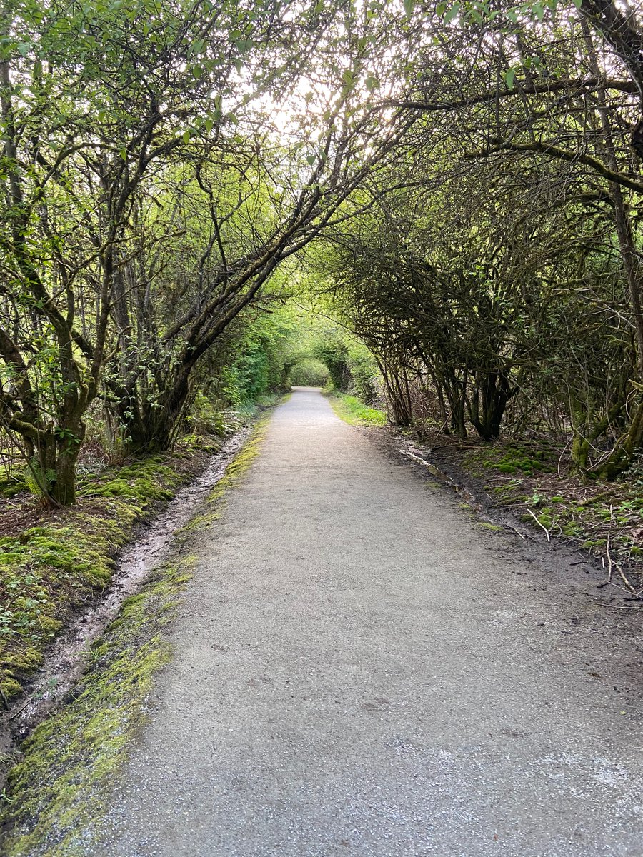 MissRedRules's tweet image. Flashing you on my walk today! The tunnel of trees was so beautiful! #walking #cleavageselfie #nature #flashingpublic