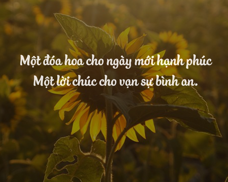 nhangtotcom's tweet photo. Một chút hương trầm buổi sáng để thanh lọc không gian, thu hút năng lượng tích cực, khởi động ngày mới hứng khởi và tràn đầy nhiệt huyết. 
Chúc cả nhà ngày mới an lành ạ ♥️

#nhangtot https://t.co/JMcXXQg8He