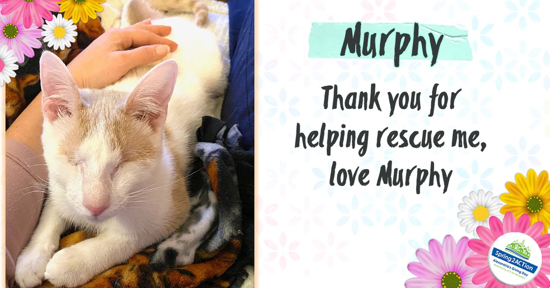 Did you know that you're saving precious lives with every dollar you donate? We have raised an amazing $56,500 so far with just 2 hours to go! 

We love to get updates on our KSC alums like Murphy (formerly Ronnie) whose…

📸 instagram.com/p/Cc4KtOpDnoM/ via tweet.photo