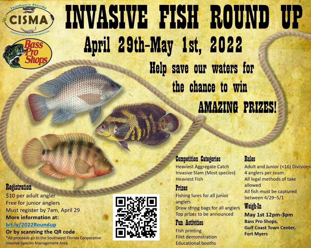 Starts this Friday!

eventbrite.com/e/2022-swf-cis…