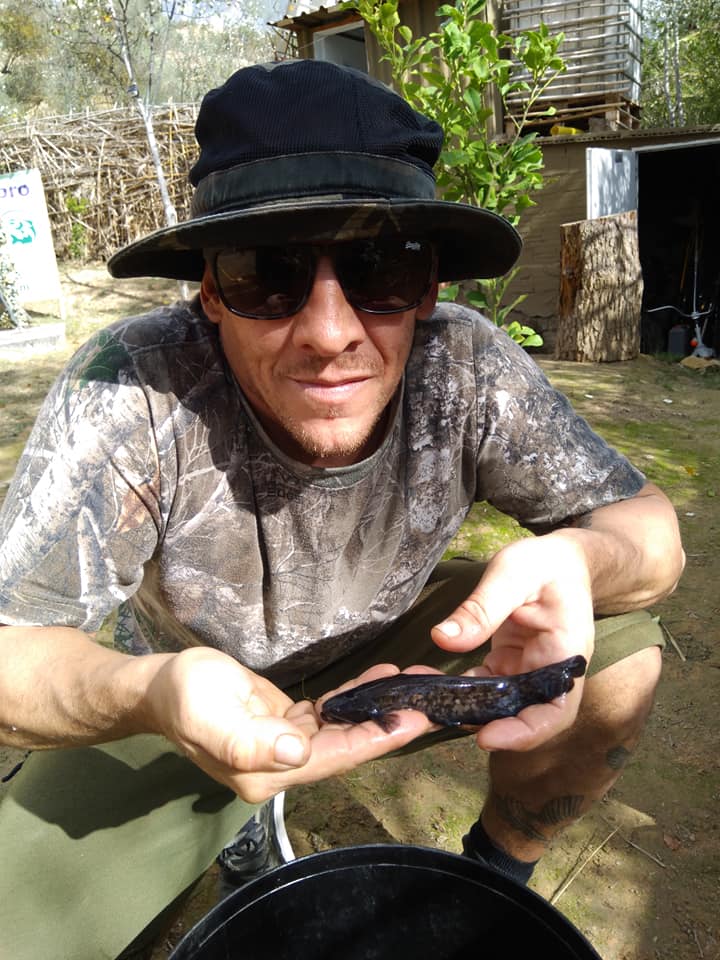 castingonebro's tweet photo. They don’t have to be monsters to be loved, miniature perfection caught with a landing net in the margin before the Covid pandemic, at least we know now there in one Cat in the river that won’t pull your arm off 
#castingontheebro #rivercarp #catfish #ribarojadebre #riverebro https://t.co/uRdv13BicG