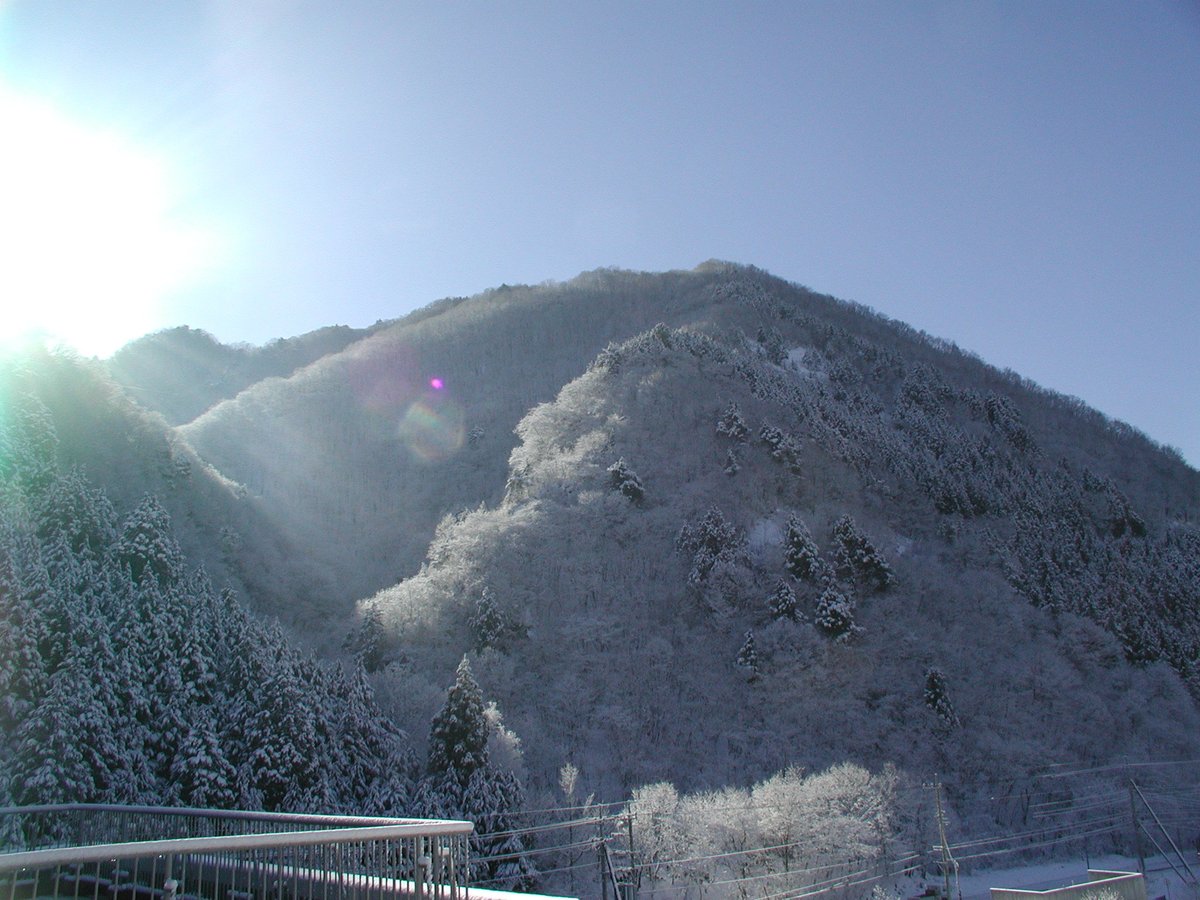urara_ashiohp's tweet photo. 病院でうららが撮った写真。鹿近い！ https://t.co/mz5UrIp0G7