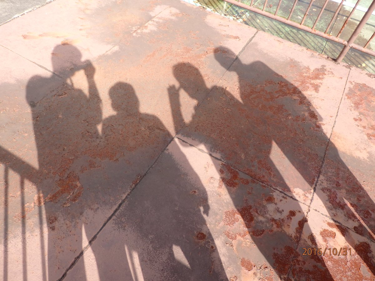 urara_ashiohp's tweet photo. 病院でうららが撮った写真。鹿近い！ https://t.co/mz5UrIp0G7