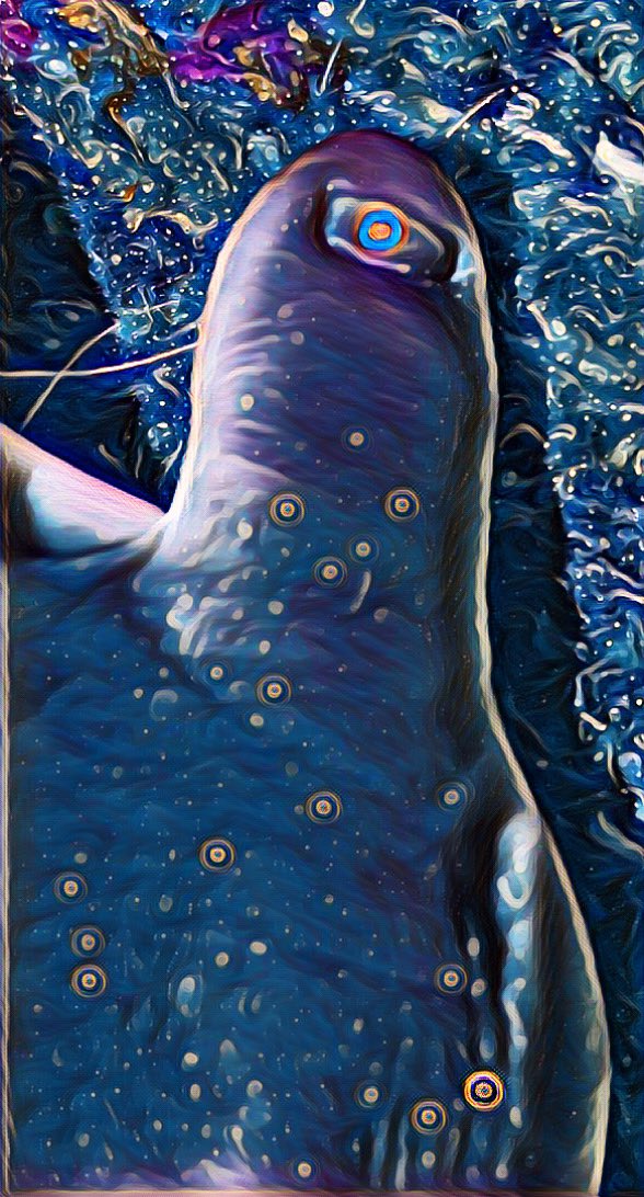FNCryptoesNFT's tweet photo. Make sure to buy a toe tonight! #NFTs #NFTGiveaways #NFTartist #Ethereum #Crypto #feet #funny #Memes https://t.co/43kq8ixpHr