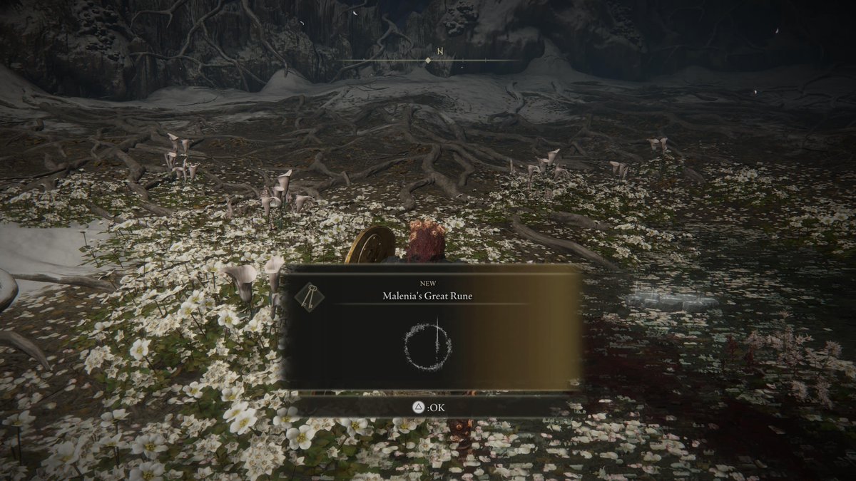 JJHaller's tweet photo. #PS5Share, #ELDENRING https://t.co/ruXe6tQdq8