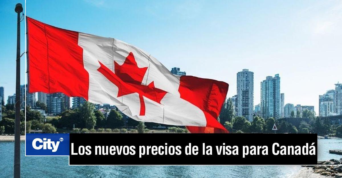 Canal Citytv on Twitter 