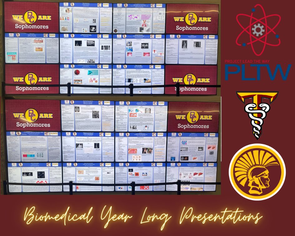 Robert Bauer tweet media