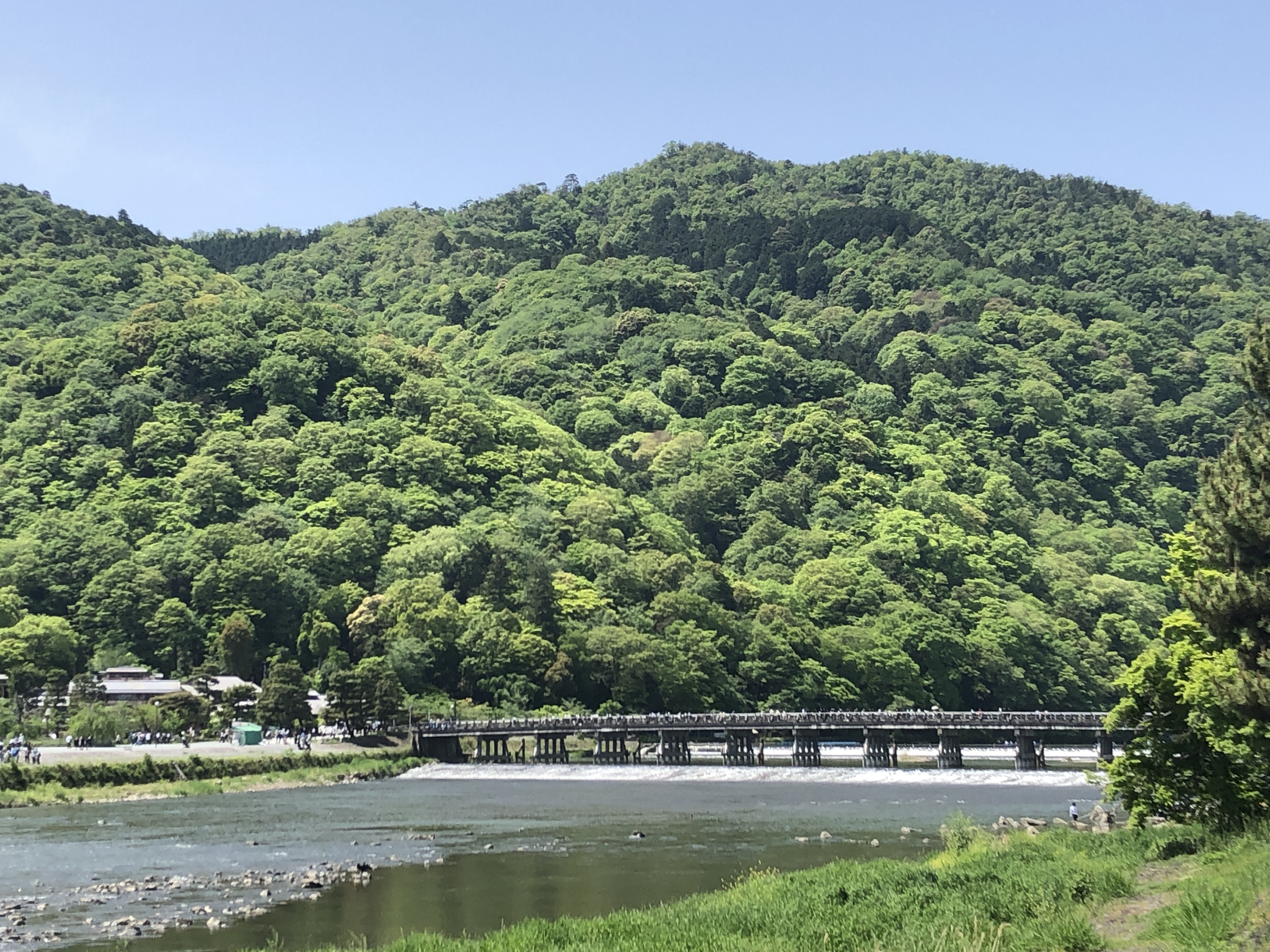 花のいえ Hananoie Kyoto Twitter