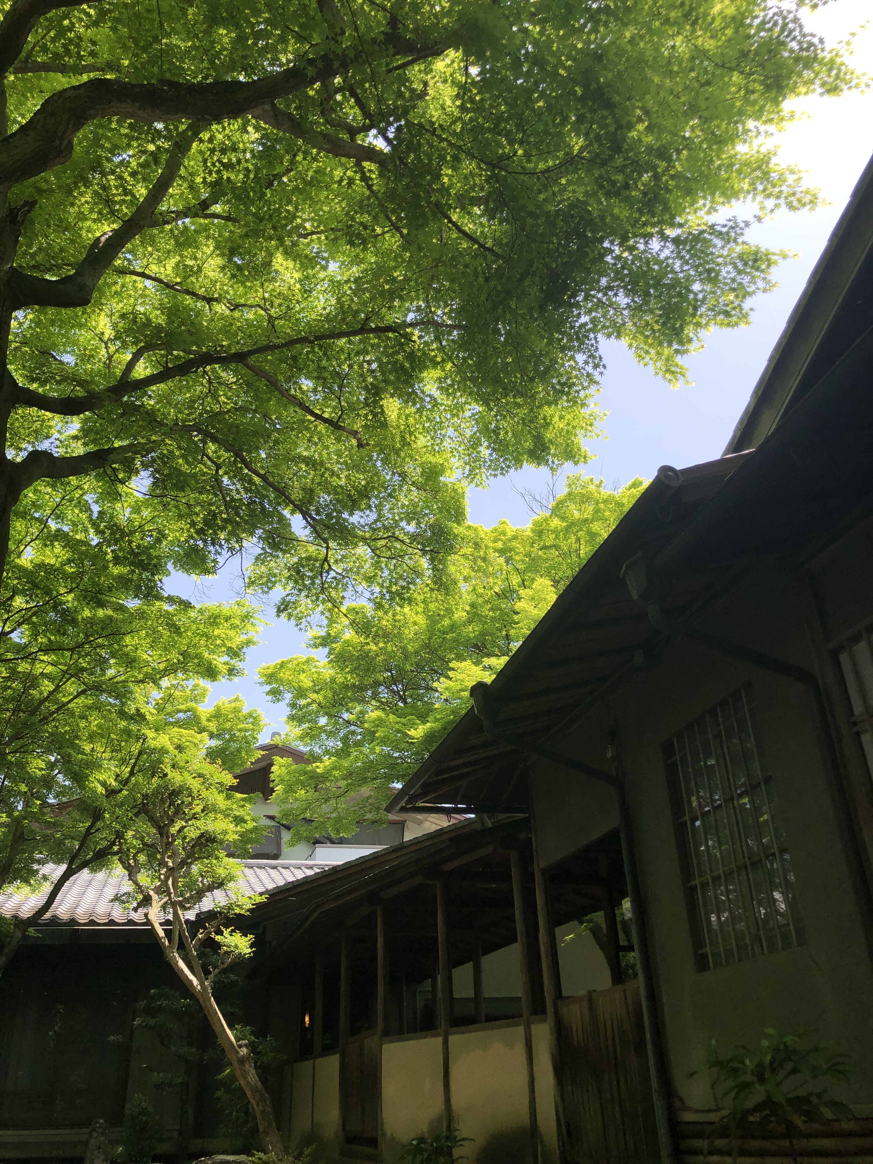 花のいえ Hananoie Kyoto Twitter