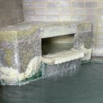 山本正樹🌊能取湖のホタテ漁師🌊 【西網走漁協青年部】のツイート画像