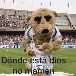 No puede continuar Mozo