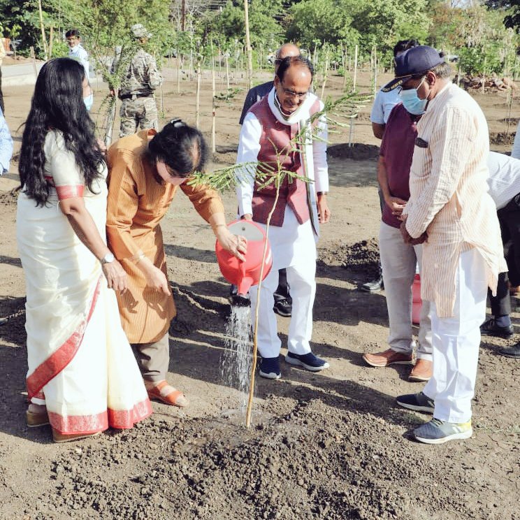 भोपाल के सुरेंद्र गार्डन रेजिडेंट वेलफेयर सोसाइटी के श्री जेपी वाजपेयी, श्री डीजे बडवेलकर, श्रीमती उर्मिला शुक्ला तथा श्रीमती शशि वाजपेयी के साथ स्मार्ट सिटी पार्क में पारिजात और गुलमोहर के पौधे रोपित किए।
#OnePlantADay
