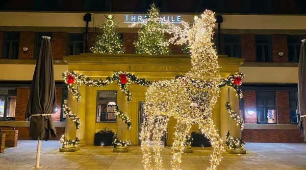 Franchise tweet media