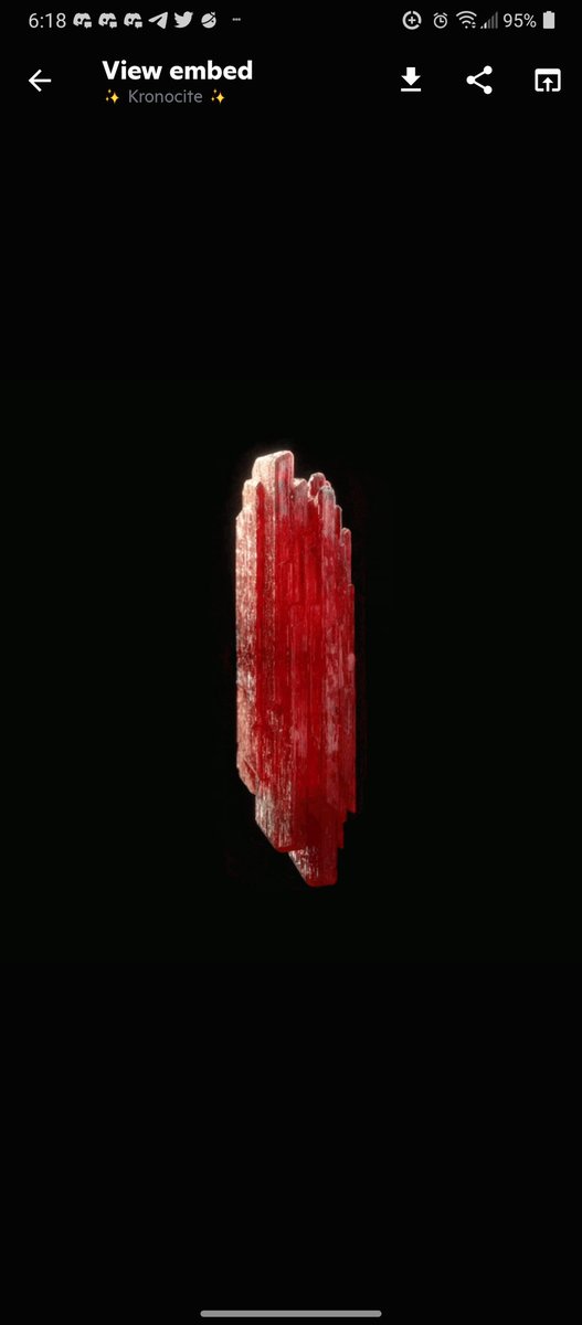 Lunar Lovegood tweet media