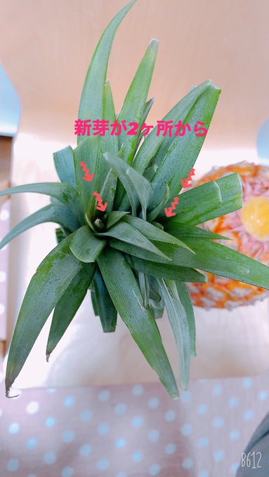 Twitterのコスプレ画像9