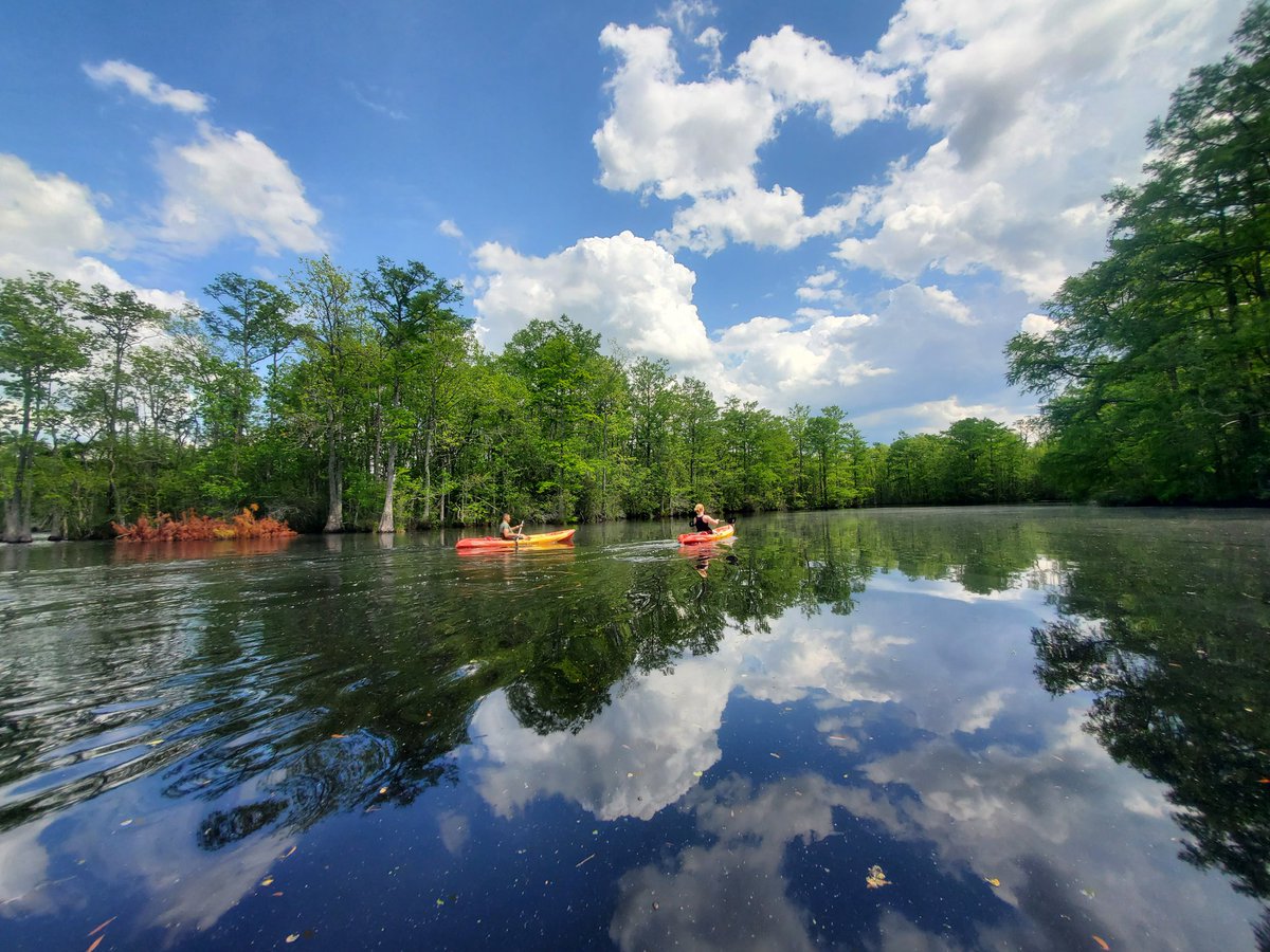 Adventure Kayak Tours tweet media