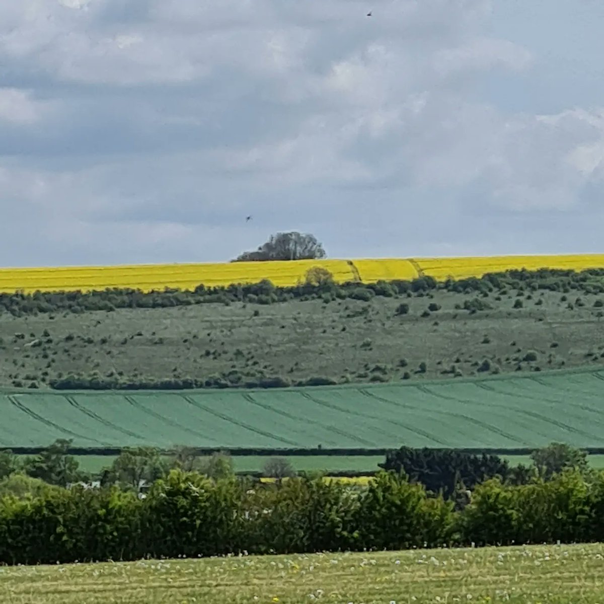 Great OSR views today.
