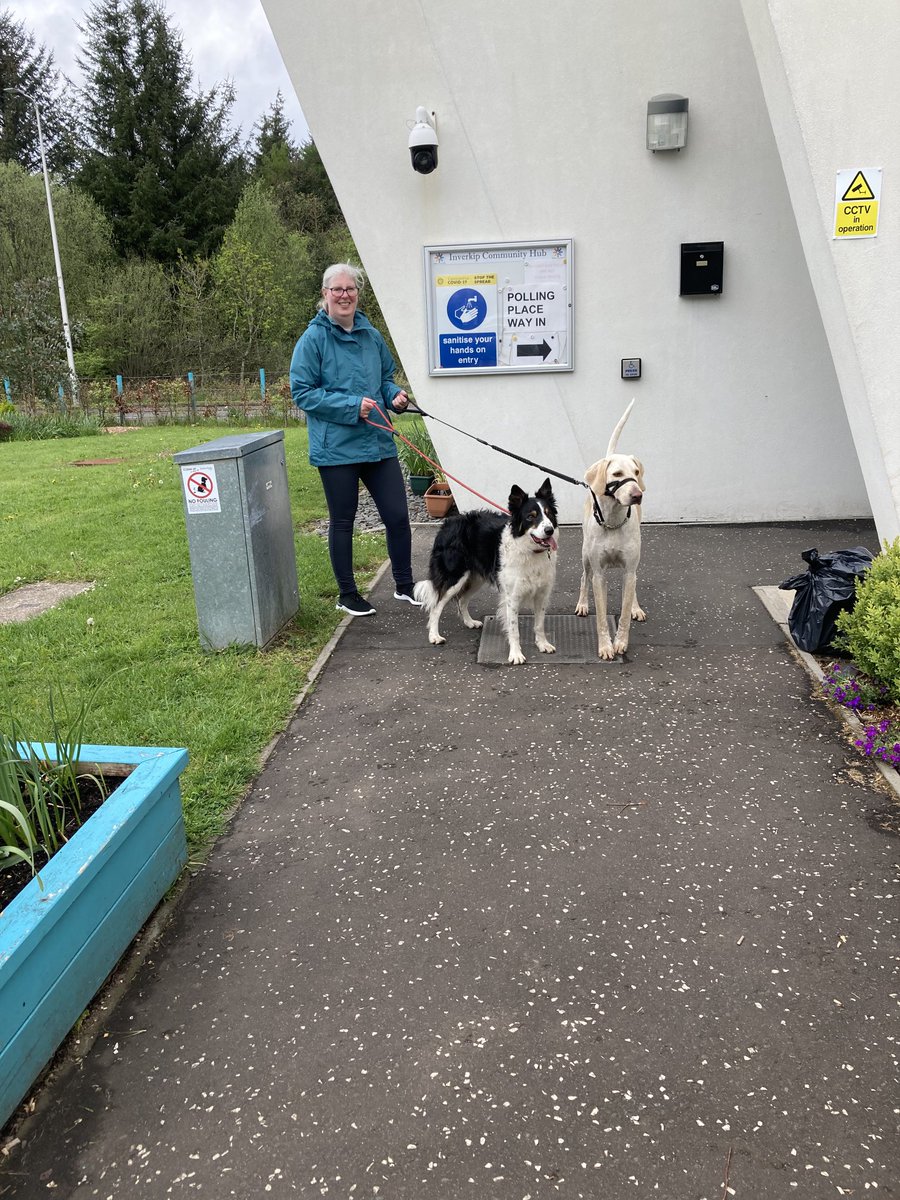 rwb69's tweet photo. #dogsatpollingplaces https://t.co/Nc78WwTm2z