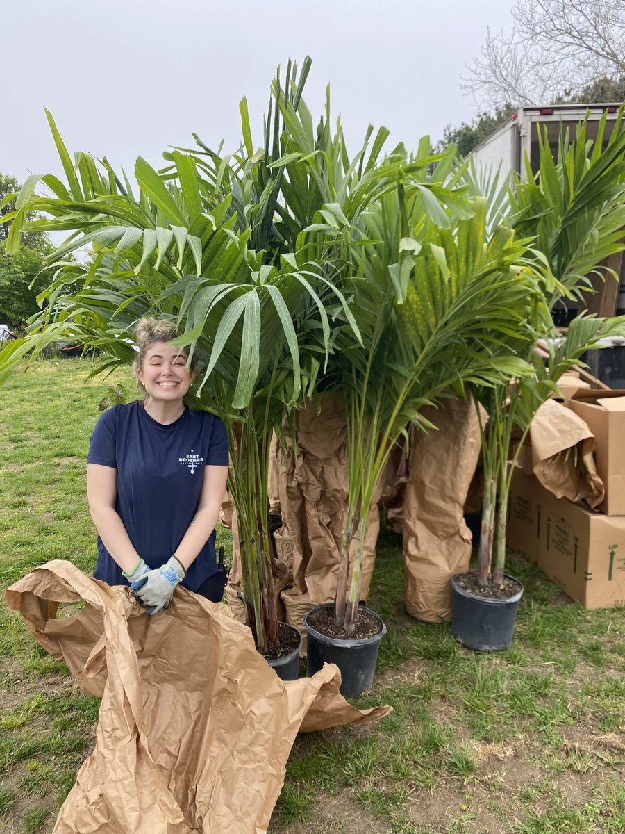 MikayPhillips's tweet photo. working at the garden center this week = getting stung on my face and unloading a HUGE order or tropicals (that’s not even the biggest one) https://t.co/fSZvloFZdD