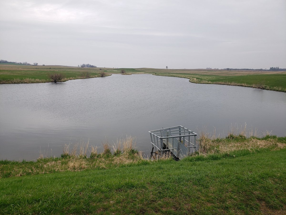 Agree. Frankly many farmers don't care because what's another 50  lbs of N especially now when 10 more bu gets you in the green. I think most farmers would laugh at the ISU N rate calc. I don't ever go much over 140 lbs. Tile outlet after 2 inches of rain the past 5 days