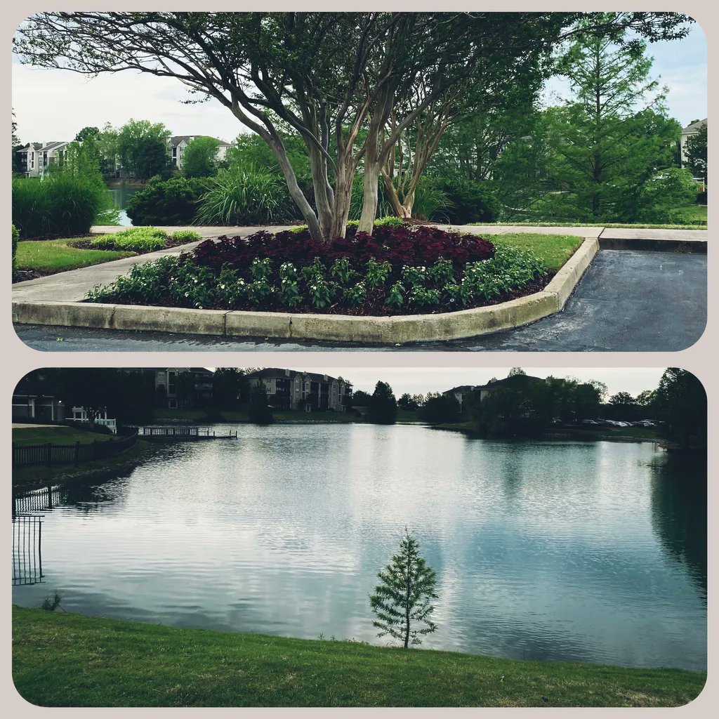 echo_landscape's tweet photo. 😍This makes us happy! Hope it makes you happy too!
@echo_landscape
#niceandclean https://t.co/pv4zHiNDsL