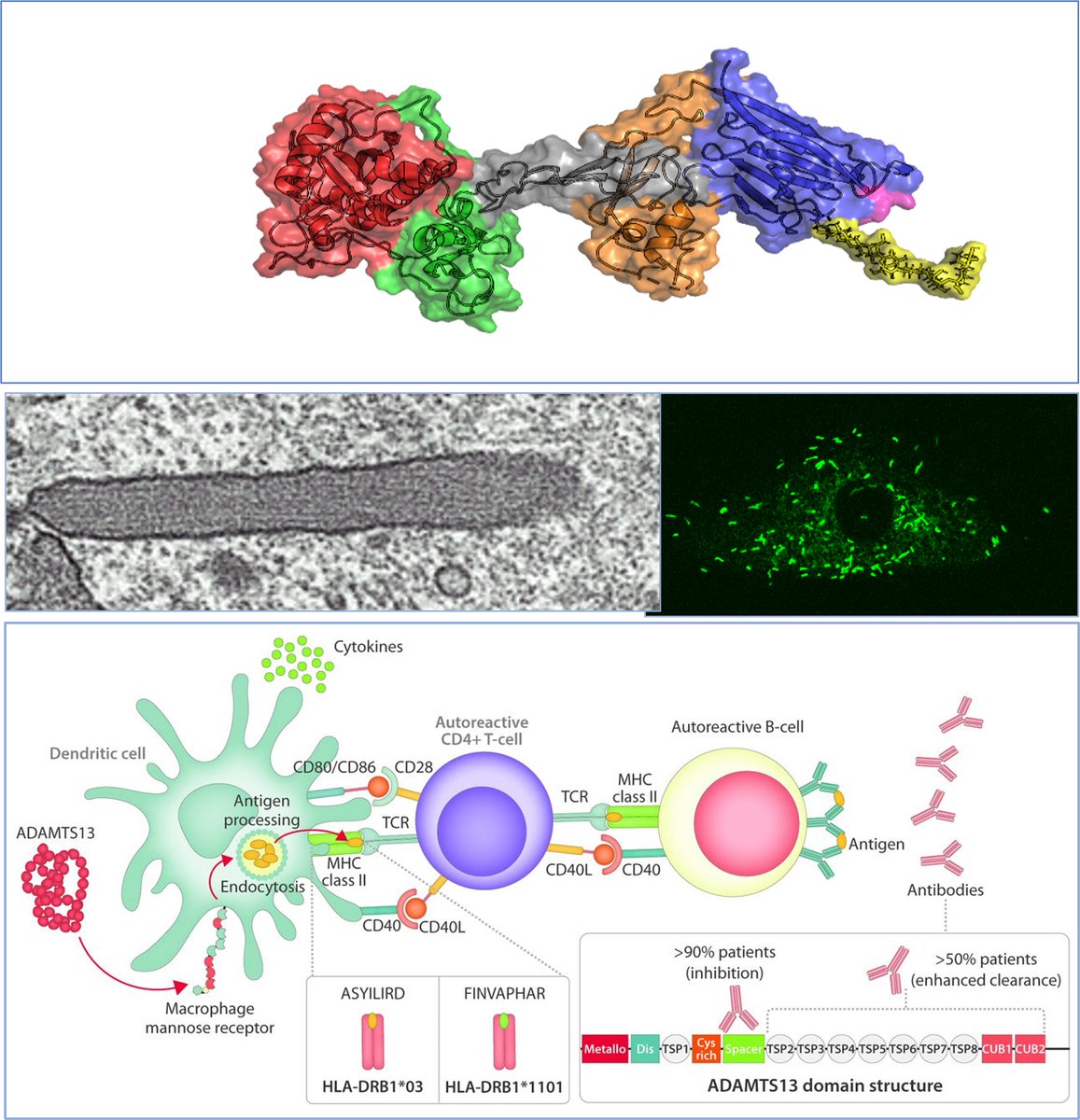Jan Voorberg tweet media