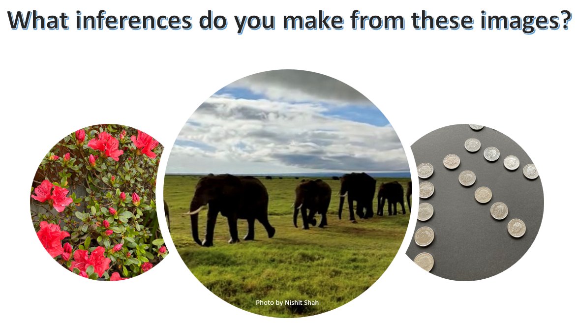 mathsdives's tweet photo. #learning through #real-life examples
What #mathematics do you see in these images? Are there any #patterns? What do you wonder?
#pattern formation & identification = vital #mathskill
#maths #ks1 #ks2 #primary #Talk4Maths https://t.co/H10XOQ0igJ